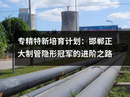 专精特新培育计划：邯郸正大制管隐形冠军的进阶之路